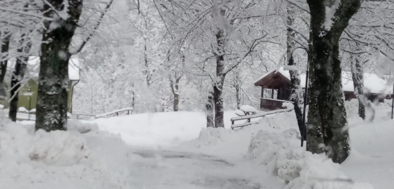 Chalet Castagno Capanne di Sillano Esterno foto